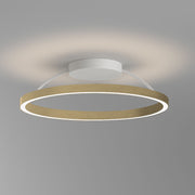 Braga, Deckenleuchte Loop, 60cm Gold, moderne Raumbeleuchtung